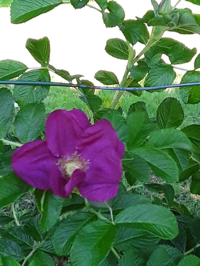 דירות Terrasses De Malmedy - Duplex 419 מראה חיצוני תמונה